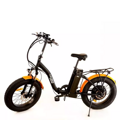 Электронный велосипед детский Elbike Taiga 1